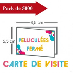 5000 Cartes de visite double volet 8,5x5,5 / 17x5,5 pelliculées - 10 jours