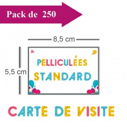 250 Cartes de visite standards pelliculées - 3 jours