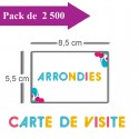 2500 Cartes de visite coins arrondis - 2 jours