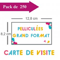 250 Cartes de visite grand format pelliculées - 3 jours