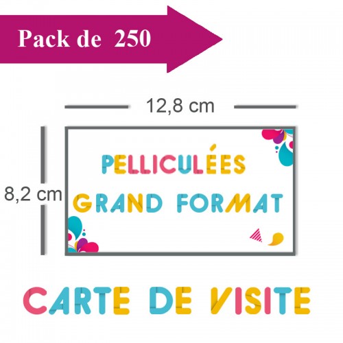 250 Cartes de visite grand format - 2 jours