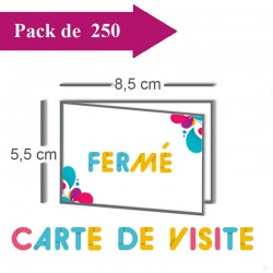 250 Cartes de visite double volet 8,5x5,5 / 17x5,5 pelliculées - 3 jours