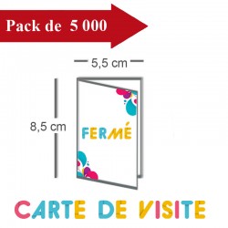 5000 Cartes de visite double volet 5,5x8,5 / 11x8,5 - 10 jours