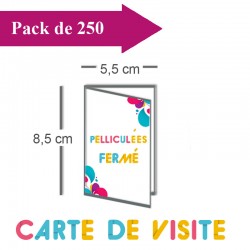 250 Cartes de visite double volet 5,5x8,5 / 11x8,5 pelliculées - 3 jours