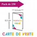 250 Cartes de visite double volet 5,5x8,5 / 11x8,5 pelliculées - 3 jours