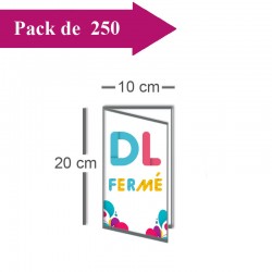 250 Dépliants double volet DL fermé (10x20) / Carré ouvert (20x20) - 3 j