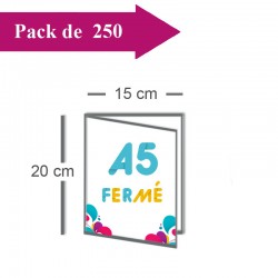 250 Dépliants double volet A5 fermé (15x20) / A4 ouvert (30x20) - 3 j