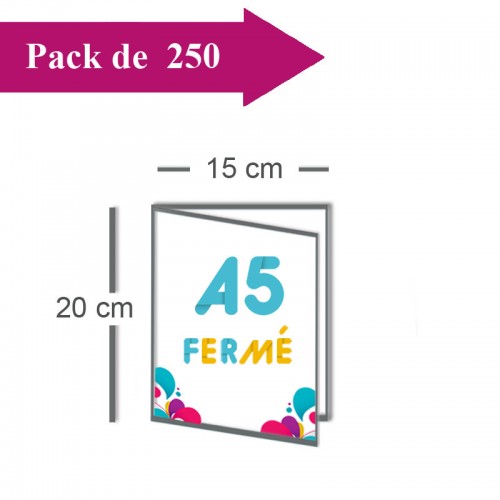 250 Dépliants double volet A5 fermé (15x20) / A4 ouvert (30x20) - 3 j