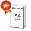 250 Plaquettes A3 ouvert / A4 fermé - 5 jours