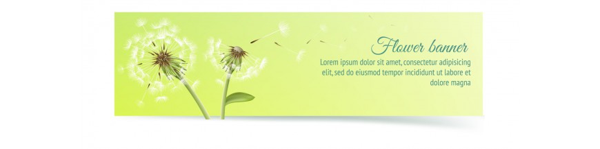 Marque-pages